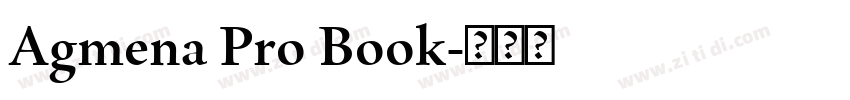 Agmena Pro Book字体转换